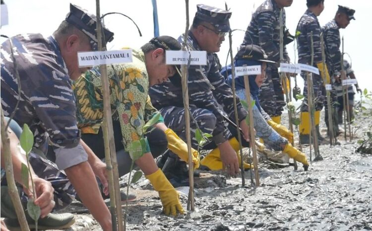  Berdayakan Wilayah Pesisir, Pemkab Sergai dan Lantamal I Belawan Tanam 15 Ribu Pohon Mangrove  