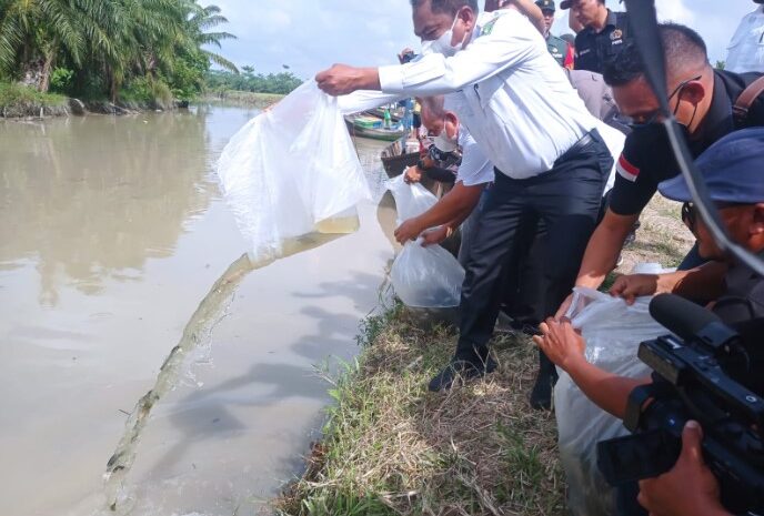  Meriahkan HLH Sedunia, PWI Sergai Bersama Bupati Darma Wijaya dan RSI Tabur 3000 Bibit Nila