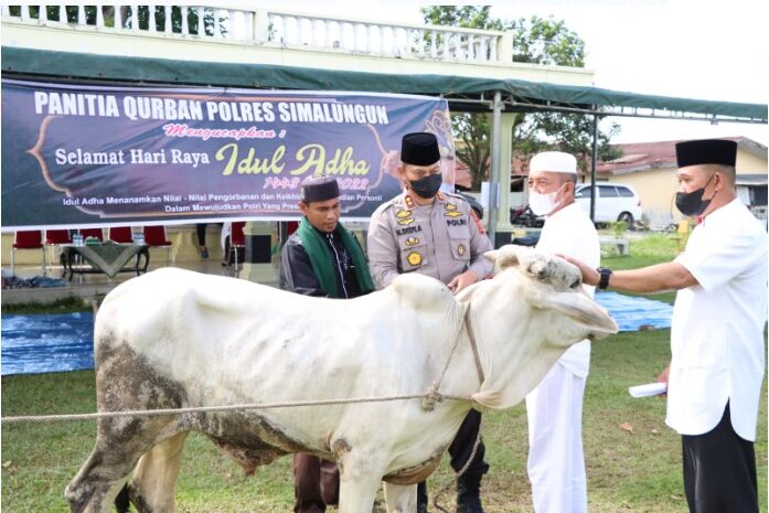  Polres Simalungun Potong Hewan Kurban 10 Sapi dan 4 Kambing, Semua Sehat dan Layak