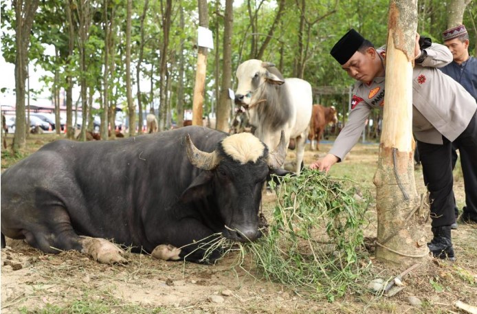  Kapolda Sumut: Kurban Bukti Ketaqwaan Seorang Muslim Kepada Allah SWT