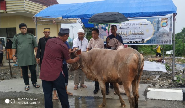  Kapolres Morowali Saksikan Penyembelihan 11 Ekor Hewan Kurban dan Bagikan Daging ke Masyarakat