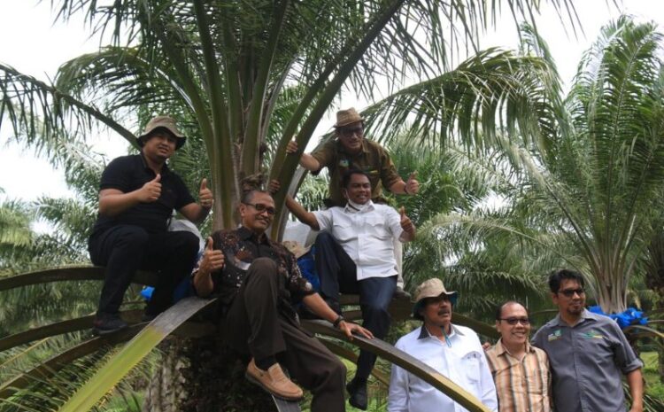  Bupati Dharmasraya Kunjungi Kabupaten Sergai, Tinjau Perkebunan Sawit dan Cicipi Tahu Dolok
