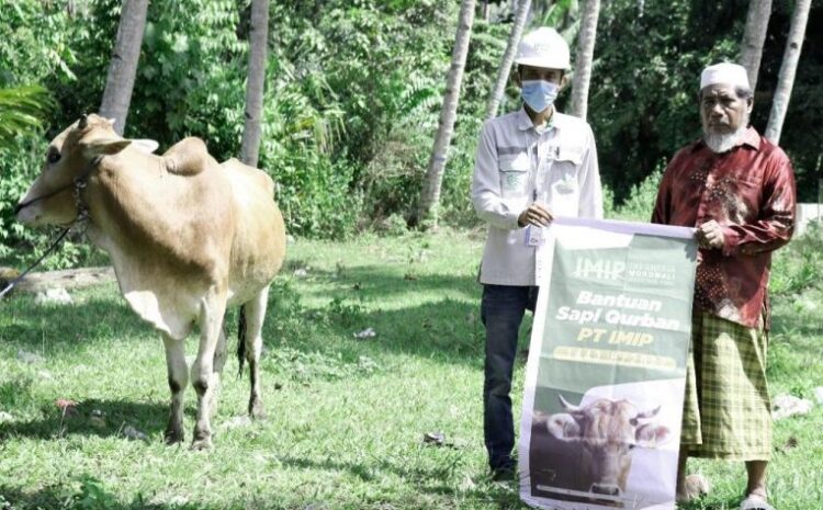  PT IMIP Sebar Kurban di Lingkar Kawanan Jelang Hari Raya Idul Adha 1443 H