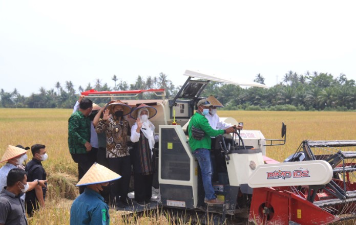  Infrastruktur dan Adaptasi Teknologi Jadi Faktor Pembangunan Pertanian Sergai