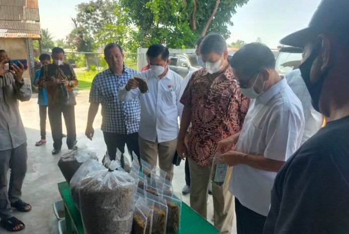  Hasim Djojohadikusumo Apresiasi Budidaya Ikan Gabus PT Akar Rimba di Desa Kota Galuh