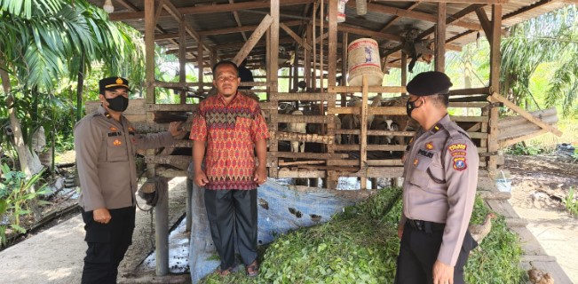 Dua Kanit Polsek Medang Deras Imbau Peternak Kambing Lakukan Isolasi dan Bersihkan Kandang