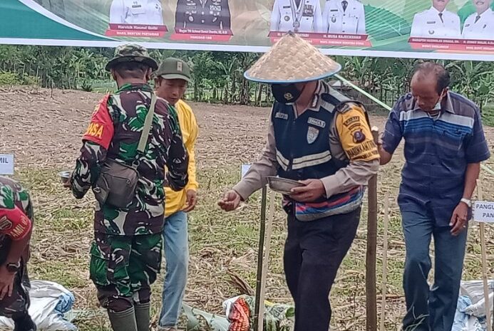  Dukung Ketahan Pangan, Forkopimda Kabupaten Simalungun Gelar Penanaman Bibit Jagung