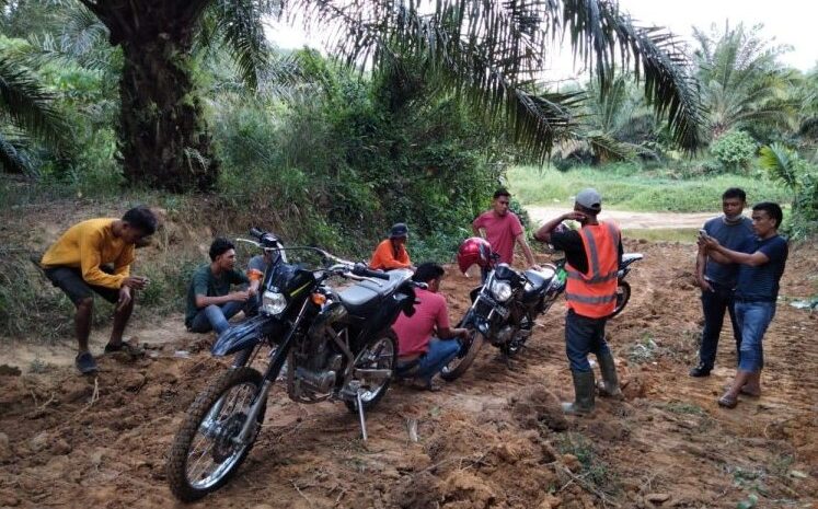  Merasa Kebal Hukum Memiliki Kewenangan Lebih, Oknum Kepala Desa dan Kelompoknya Rampas Tanah Tanpa Hak