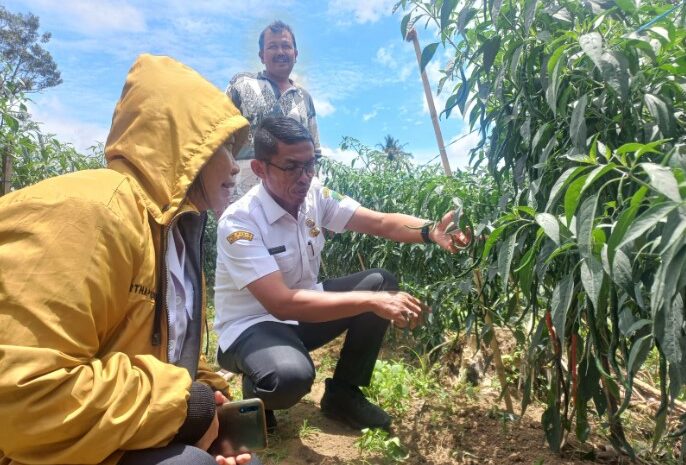  Stabilkan Harga Pangan Pokok, Wali Kota Kirim Jajaran PUD Pasar Medan ke Lima Kabupaten