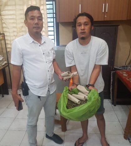  Polsek Medan Timur Ringkus Pengedar Ganja di Kos-Kosan