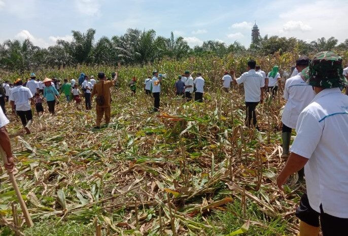  Miris!!, Puluhan Anak Sekolah Dilibatkan Penggarap Ribut di Sengketa Lahan HGU PTPN 4