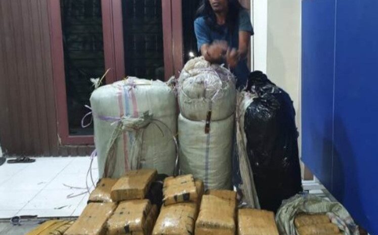  Polda Sumut Gagalkan Pengiriman 200 Kg Ganja ke Medan dan Pekanbaru