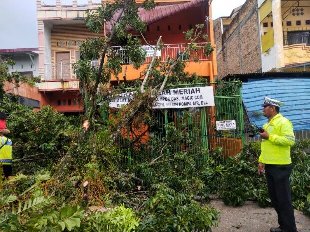  Polantas Polrestabes Medan Urai Kemacetan dan Evakuasi Pohon Tua Tumbang di Jalan Kapten Purba Medan  