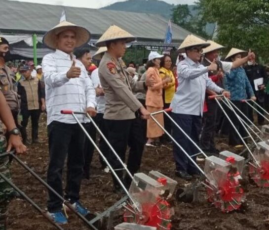 Penanaman Sorgum di Dairi Dihadiri Wamen Pertanian, Hipensu Serahkan Benih Sorgum