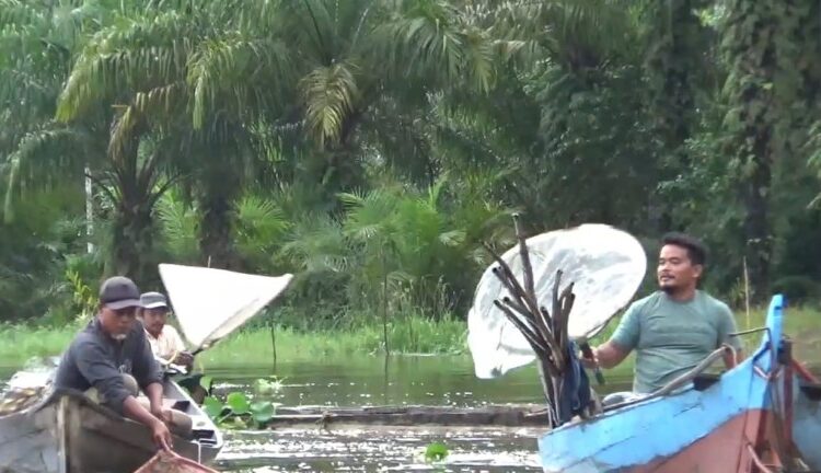  Puluhan Nelayan Negerilama Menanggok Ikan Gamak Bertuah