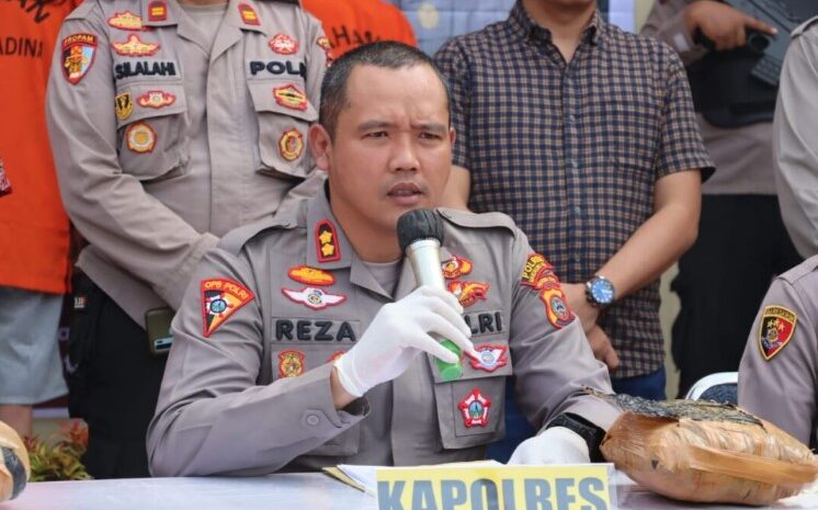 Bawa 47 Kg Ganja, Polres Madina Ringkus 3 Warga Sumbar