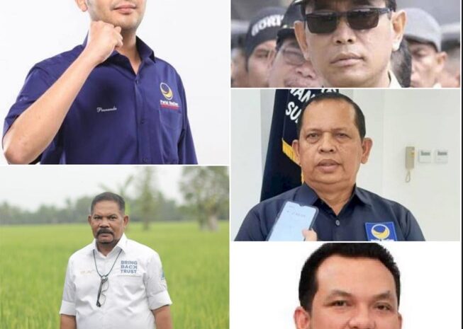 Ini Lima Caleg Potensial Nasdem di Sumut