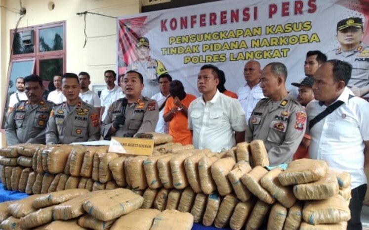  Sat Narkoba Polres Langkat Amankan 233 Kg Ganja dan 1 Kg Sabu