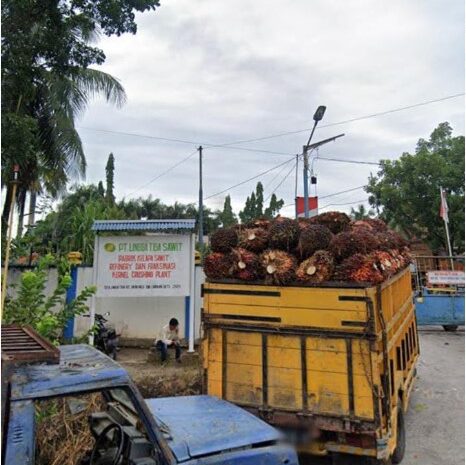  Berbahaya, PT LTS Bebas Jual Limbah B3 Solid ke Masyarakat