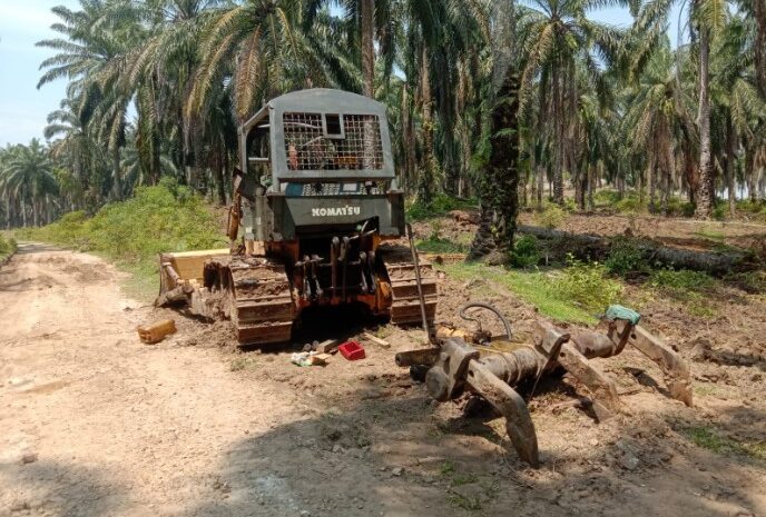  SIO dan Kelayakan Alat Berat Dinilai Tidak Sesuai SOP, Kinerja Vendor Replanting PTPN IV Kebun Balimbingan Dipertanyakan