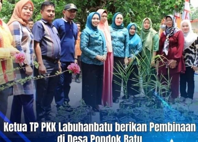 Ketua TP-PKK Labuhanbatu Berikan Pembinaan di Kampung KB Pondok Batu