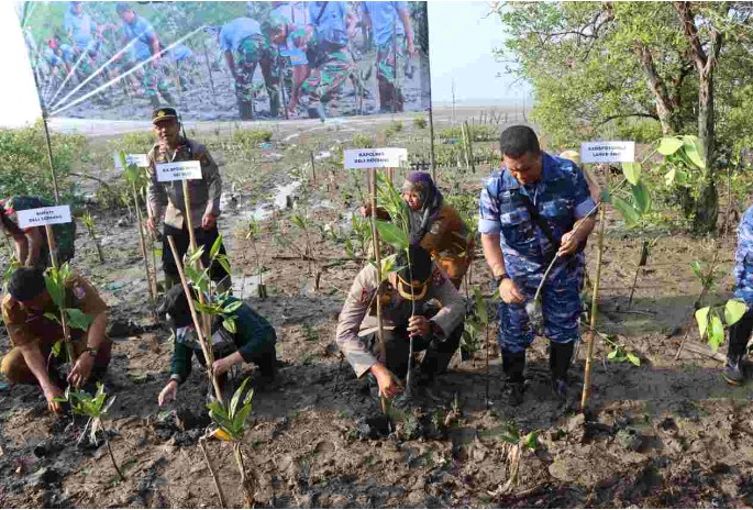 TNI Bersama Polresta dan Pemkab Deli Serdang Tanam Bibit Mangrove Serentak