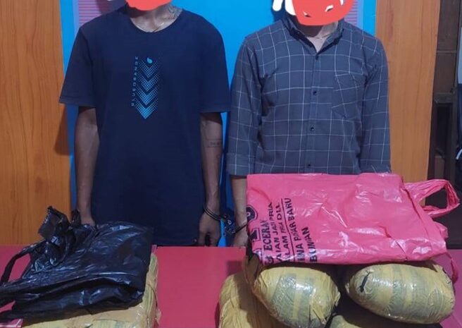 2 Pemuda Asal Sumbar Keciduk Polres Madina Bawa Ganja