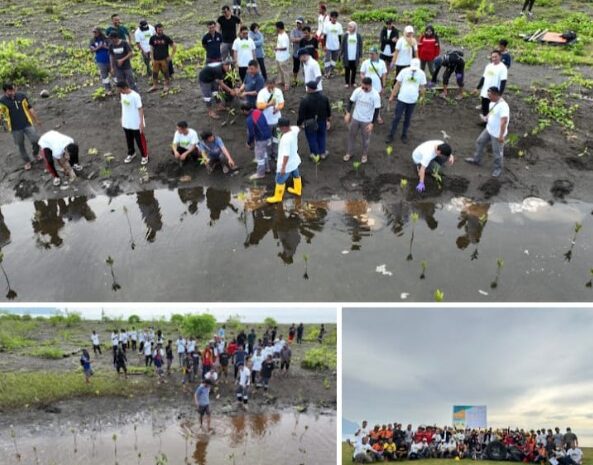 PT Vale IGP Morowali Gelar Kegiatan Bersih Pantai dan Tanam Mangrove