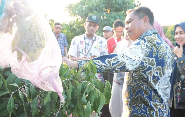  Melihat Potensi Kebumen, Bupati Darma Wijaya: “Akan Kita Terapkan di Sergai”