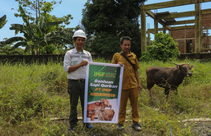 PT IMIP Bagikan 38 Ekor Sapi Qurban Jelang Hari Raya Idul Adha 1444 H