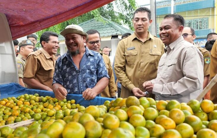 Tinjau Harga Pangan Jelang Iduladha 1444 H, Bupati Sergai: “Masih Aman dan Terkendali”