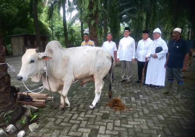  Masjid Al – Musabihin Tasbih Gelar Sholat Idul Adha 1444 Hijriah & Sembelih Ratusan Hewan Qurban