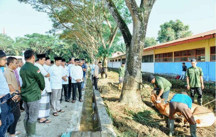  Idul Adha 1444 H, Pemkab Batubara Sembelih 40 Ekor Hewan Kurban