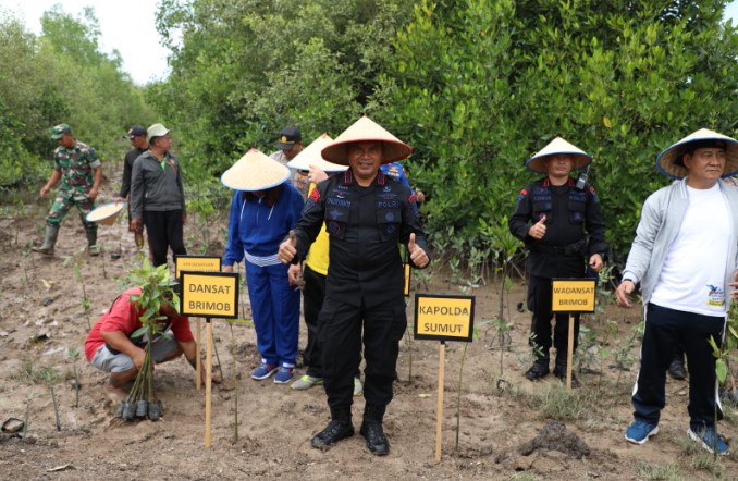  Polda Sumut Peduli Lingkungan Tanam Pohon Magrove di Langkat          