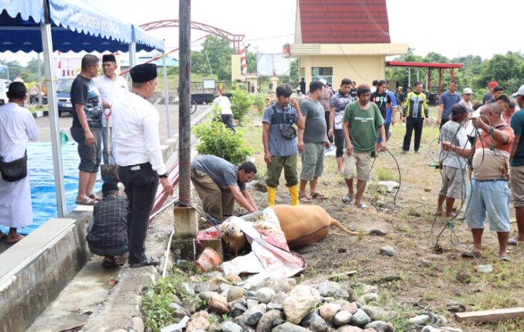  Polres Morowali Rayakan Idul Adha 1444 H Dengan Bagikan Daging Qur’ban dan Dagong Siap Saji