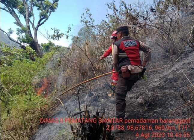 Reaksi Cepat Polres Simalungun Padamkan Titik Api di Hutan Perbukitan Siboro