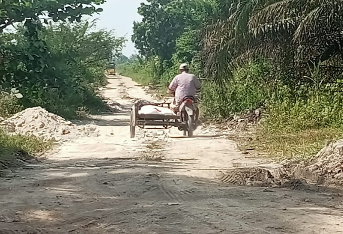 Lahan PTPN II Berubah Jadi Galian C Ilegal di Jalan Al Azhar Desa Amplas, Oknum Mafia Tanah Raup Untung