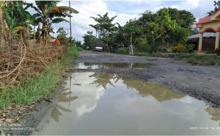  Presiden Jokowi Diminta Tinjau Jalan Rusak di Sergai