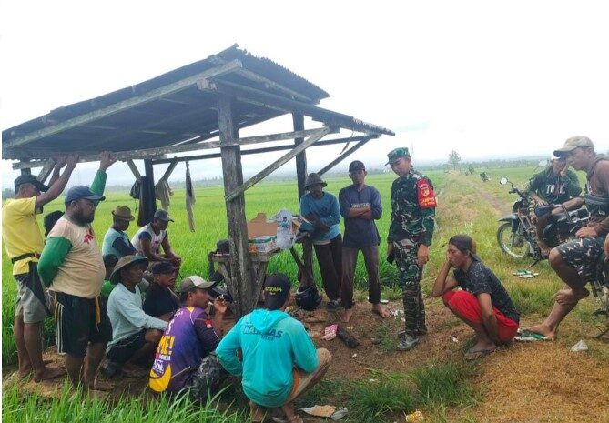  Babinsa Desa Laantula Jaya Morowali Bantu Warga Atasi Kekeringan Sawah