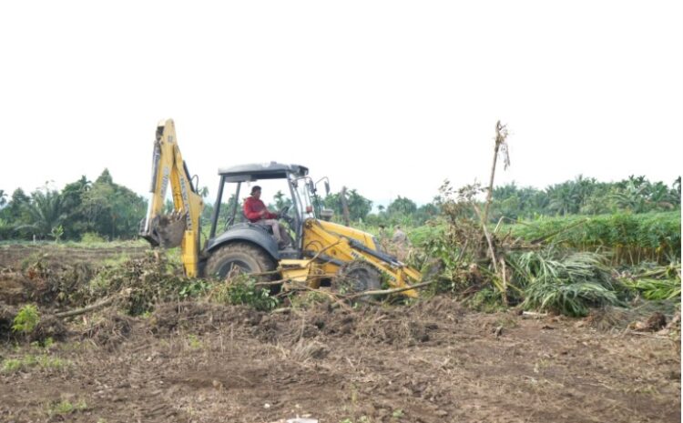 Pemko Medan Akan Bangun Infrastruktur Publik di Lahan Seluas 26.5 Ha