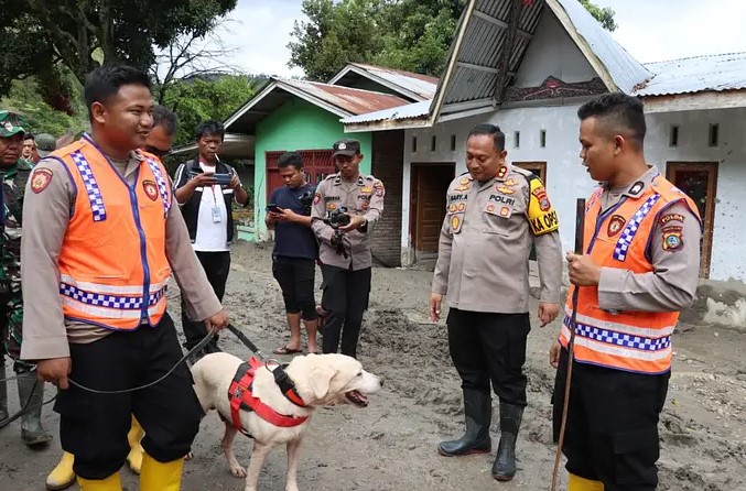 Polda Sumut Turunkan Anjing Pelacak Cari Korban Longsor di Humbahas