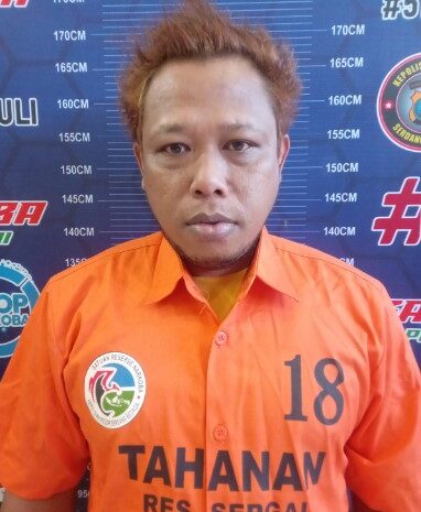 Dower Pengedar Sabu di Desa Kualabali Ditangkap