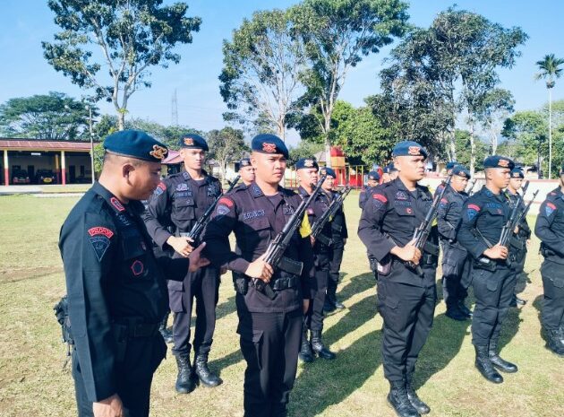 Personel Batalyon C Sat Brimob Polda Sumut Gelar Latihan PBB Tingkatkan Kemampuan dan Kedisiplinan