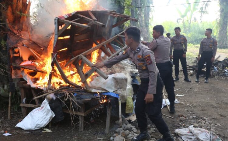 Polda Sumut Bakar Gubuk Narkoba dan Judi di Kutalimbaru