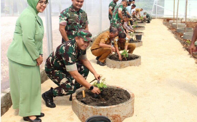 Wujudkan Ketahanan Pangan Nasional, Danrem 132/Tadulako Bersama Forkopimda Morowali Tanam Anggur