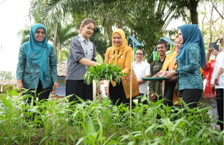 Kelurahan Pulo Brayan Bengkel Baru Sukses Optimalkan Pemanfaatan Lahan Tidur