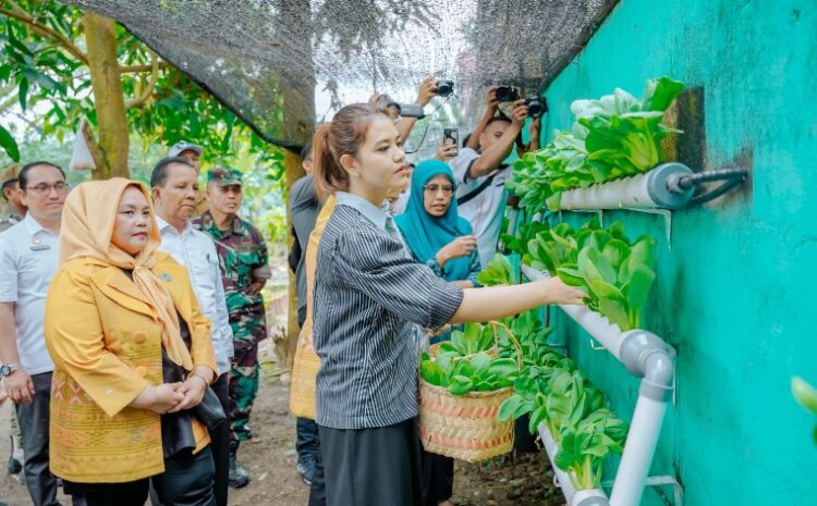 Ny Kahiyang Ayu Apresiasi Inovasi yang Dilakukan Kelurahan Pulo Brayan Bengkel Baru