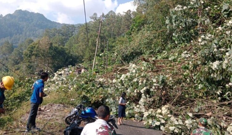 Polres Simalungun Evakuasi Pohon Tumbang, Lalulintas Kota Wisata Parapat Kembali Lancar