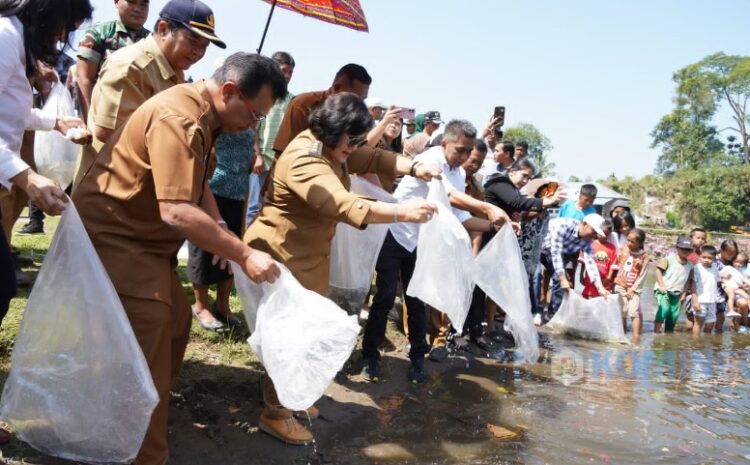  Bupati Karo Tebar Benih Ikan Nila di Tambak Mbelang Kecamatan Tiganderket