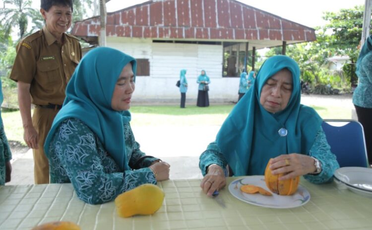  TP-PKK Kabupaten Asahan Ikut Gerakan Tanam Cabai Serentak